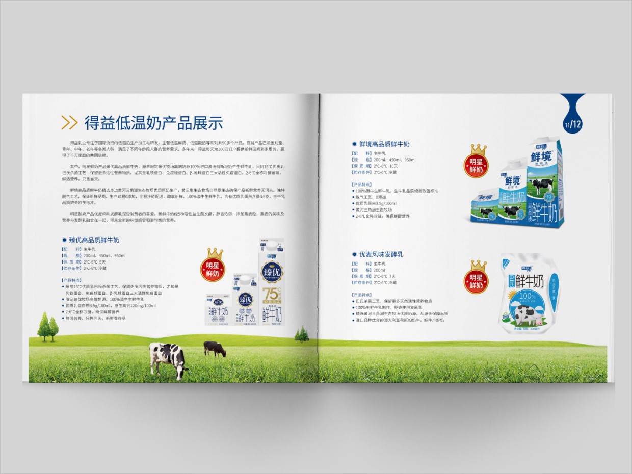 山东得益乳业股份有限公司画册设计之内页设计