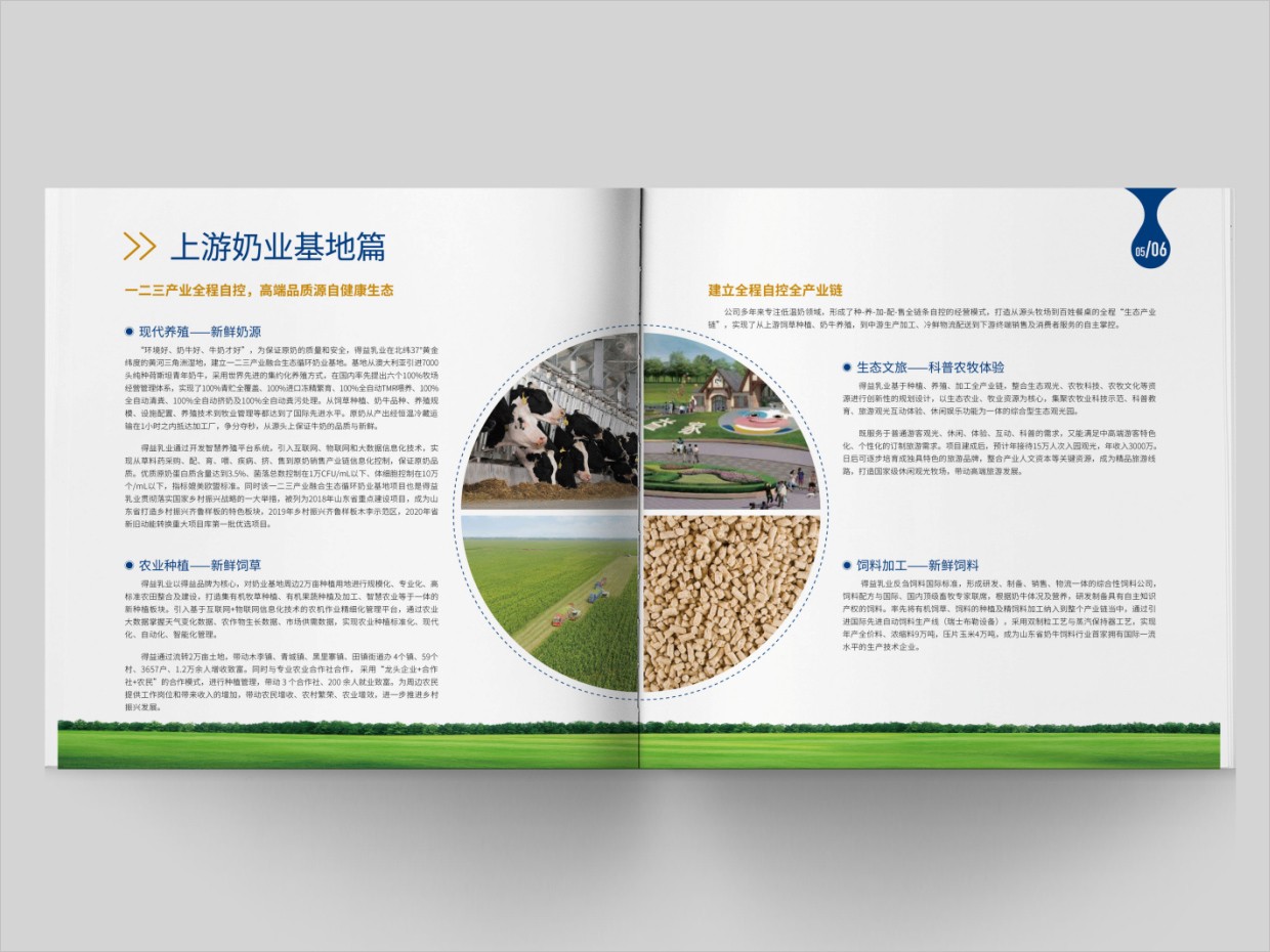 山东得益乳业股份有限公司画册设计之内页设计