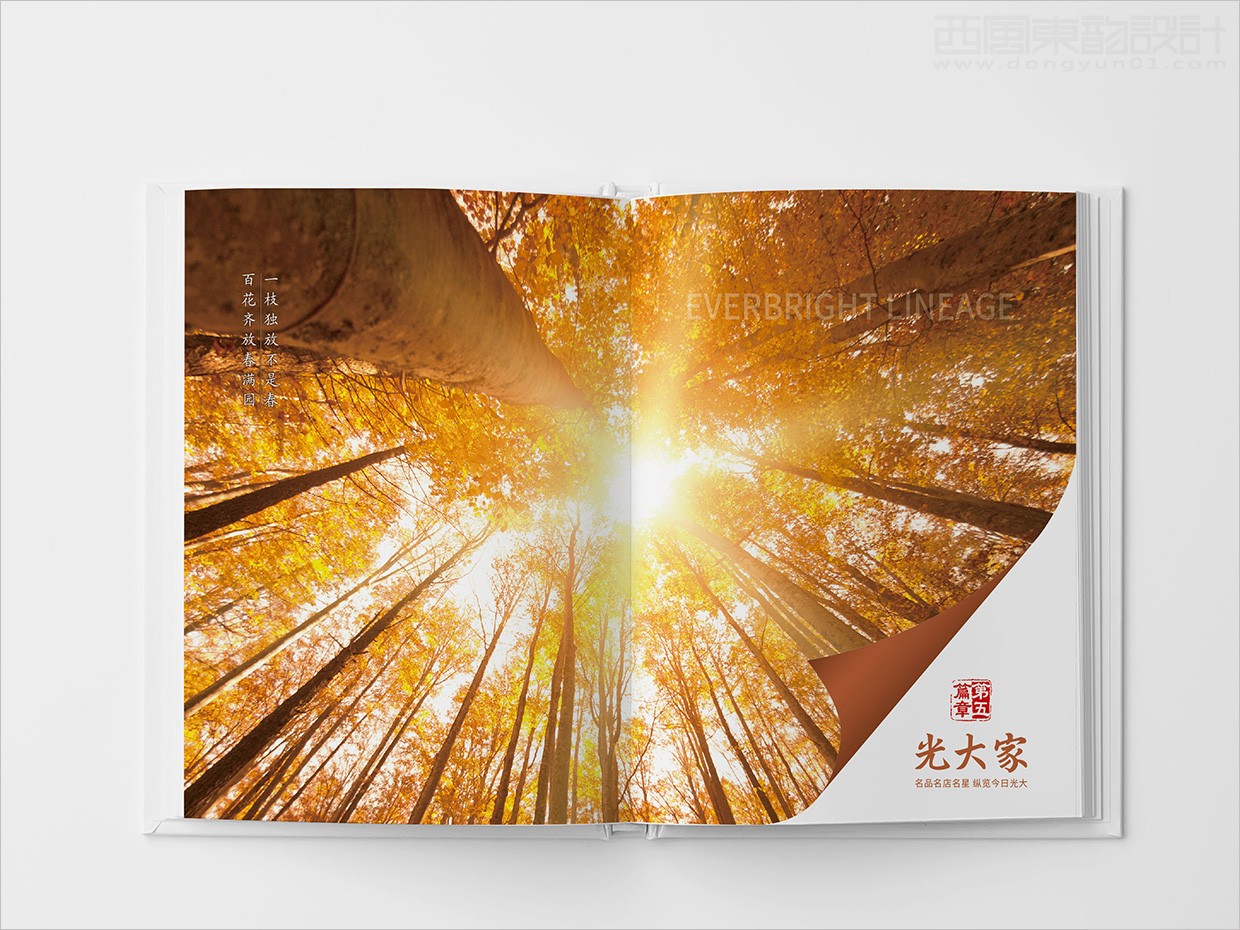中国光大集团画册设计之画册内页设计